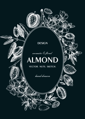 Almond nut wreath design.Blooming branches, nuts, flower sketches on chalkboard. Hand-drawn vector illustration. Botanical background. NOT AI generated